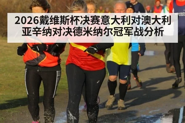 2026戴维斯杯决赛意大利对澳大利亚辛纳对决德米纳尔冠军战分析